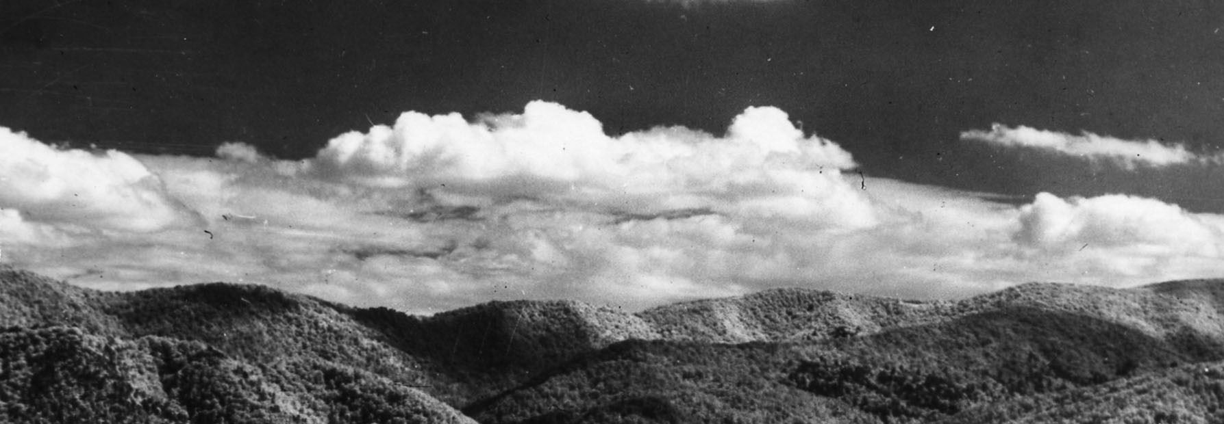 Photo Collections Header