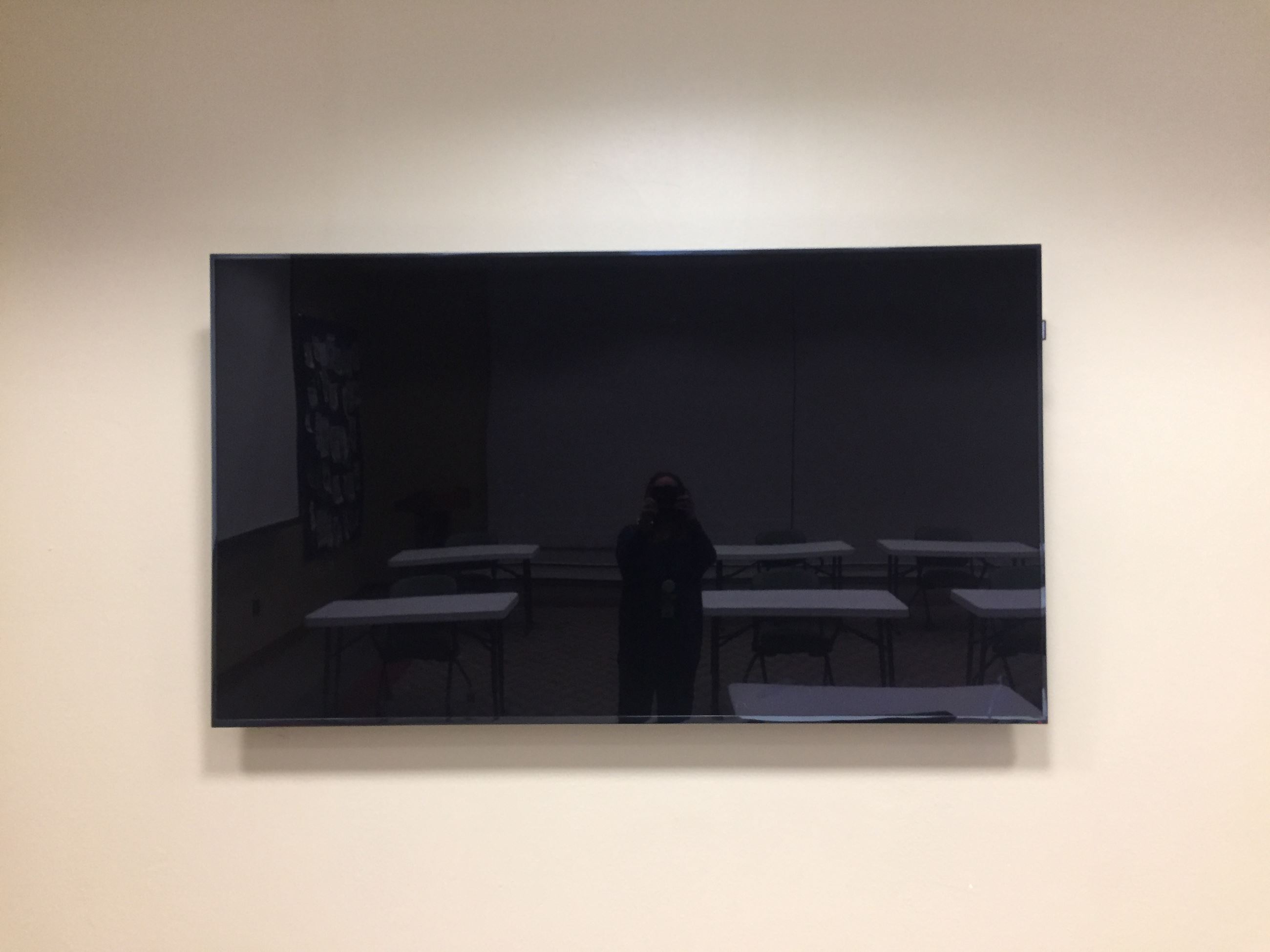 Sharon Lawson Projector